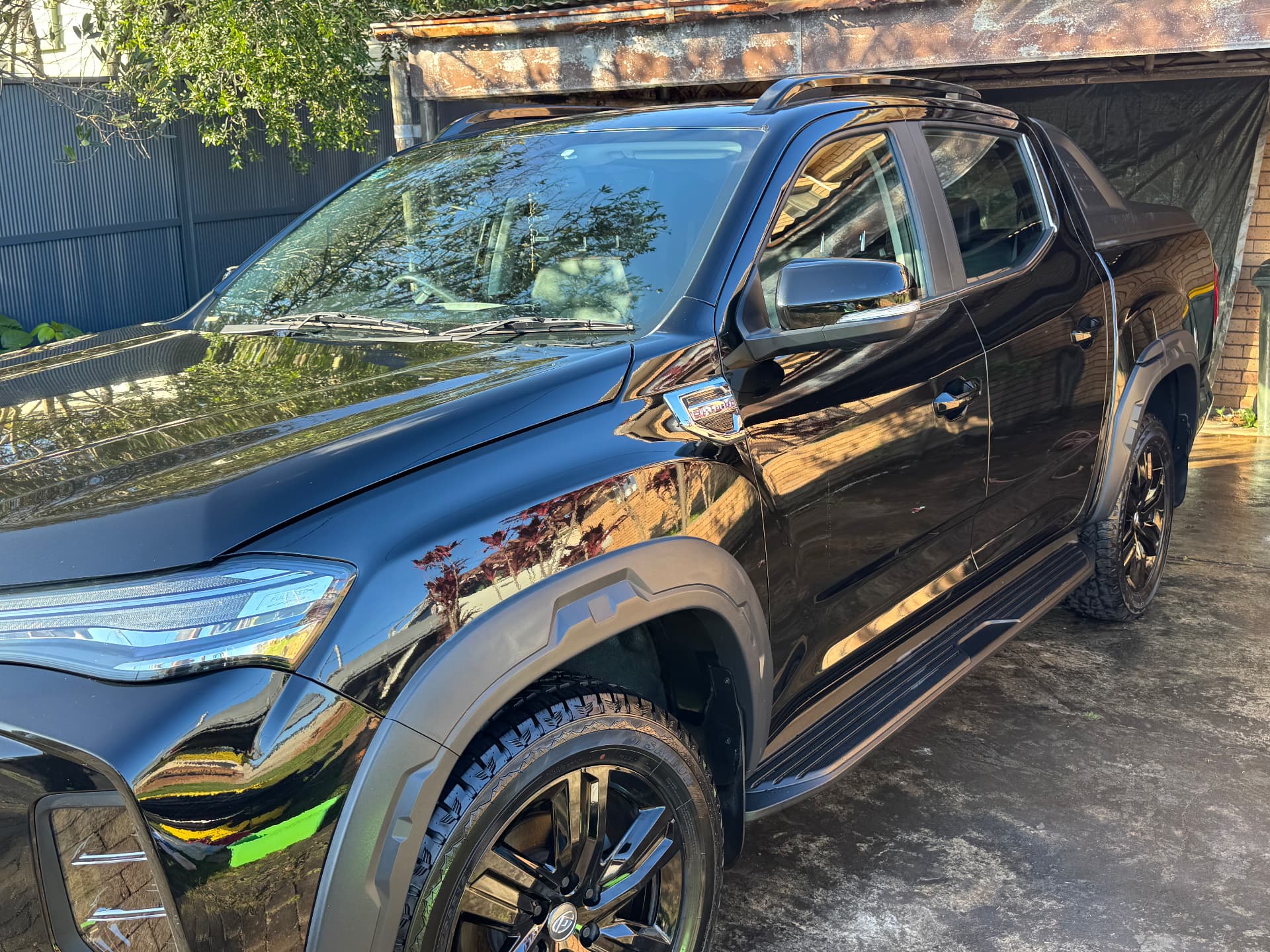 Exterior Polish & Buff